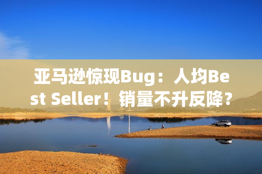 亚马逊惊现Bug：人均Best Seller！销量不升反降？