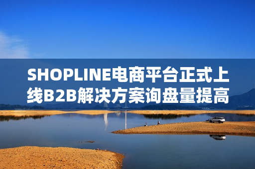 SHOPLINE电商平台正式上线B2B解决方案询盘量提高50%