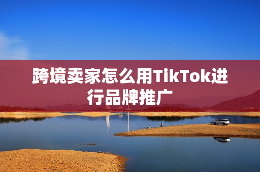 跨境卖家怎么用TikTok进行品牌推广