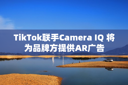TikTok联手Camera IQ 将为品牌方提供AR广告