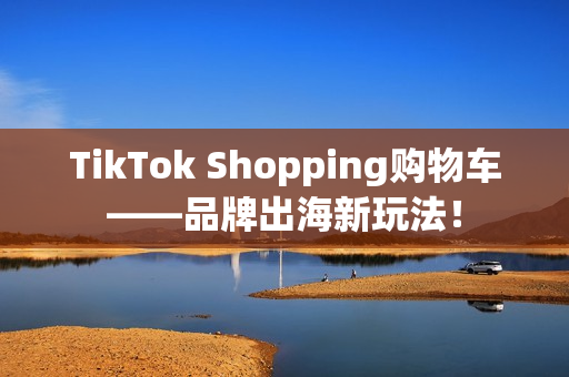 TikTok Shopping购物车——品牌出海新玩法！
