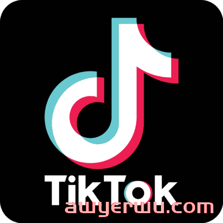 TikTok 的广告类型有哪些？如何在 上做广告  第1张