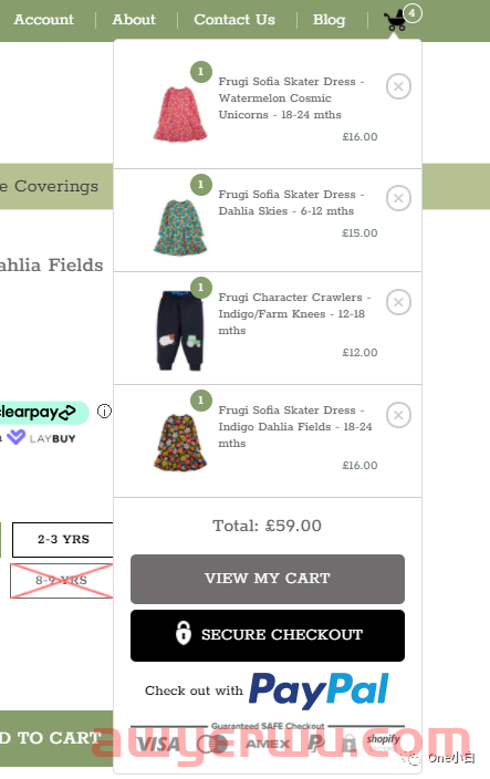  Shoptimized 主题的 Shopify 产品页面的产品页面设计要素分析 第3张