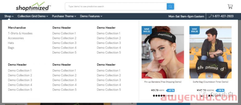  Shoptimized 主题的 Shopify 产品页面的产品页面设计要素分析 第11张