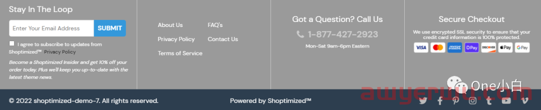  Shoptimized 主题的 Shopify 产品页面的产品页面设计要素分析 第29张