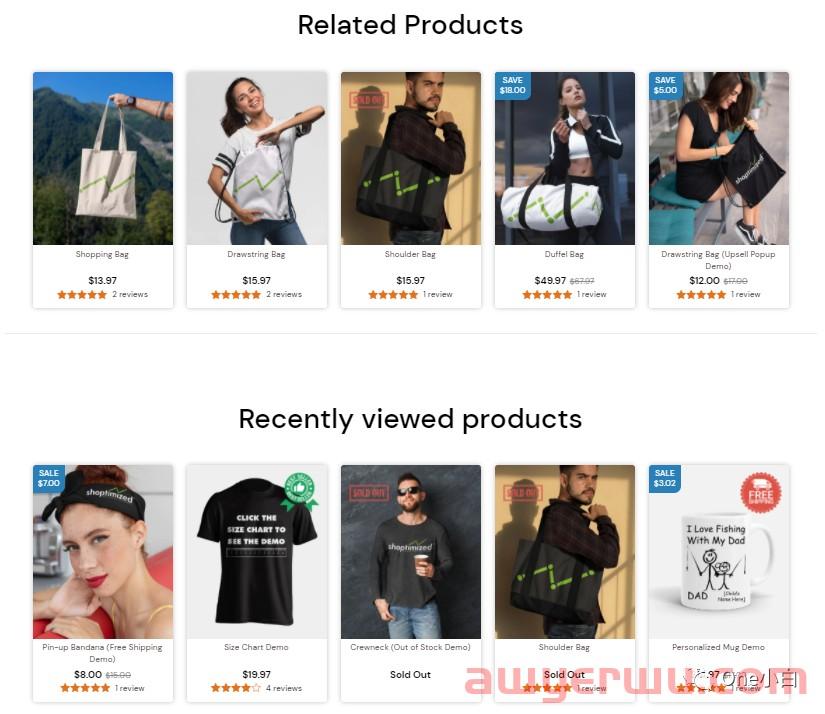 Shoptimized 主题的 Shopify 产品页面的产品页面设计要素分析 第27张