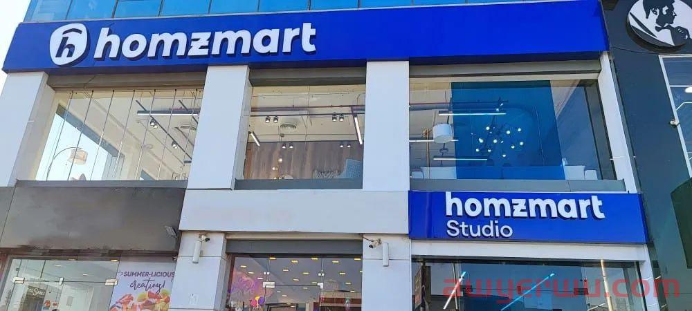埃及家具电商Homzmart冲破第一个100万，用了三年 第2张