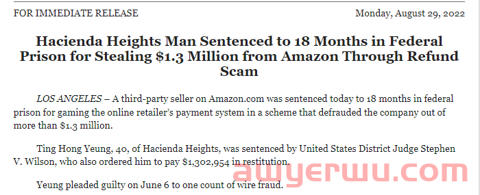 亚马逊卖家发空包诈骗上百万被抓，判刑一年半！ 第1张