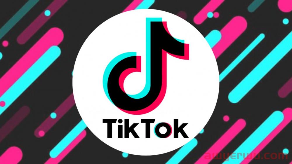 TikTok宣布拉丁遗产月新活动 第1张