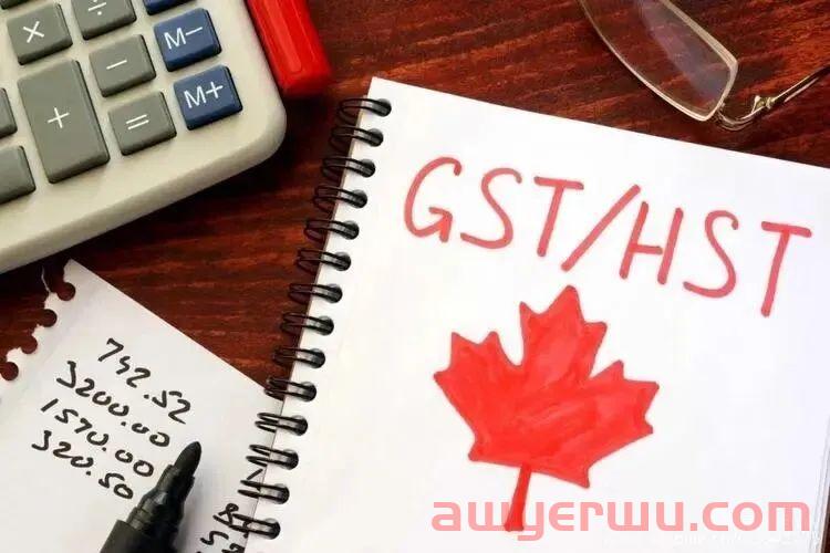 跨境电商申请加拿大税号须知（BN号及GST号申请） 第1张
