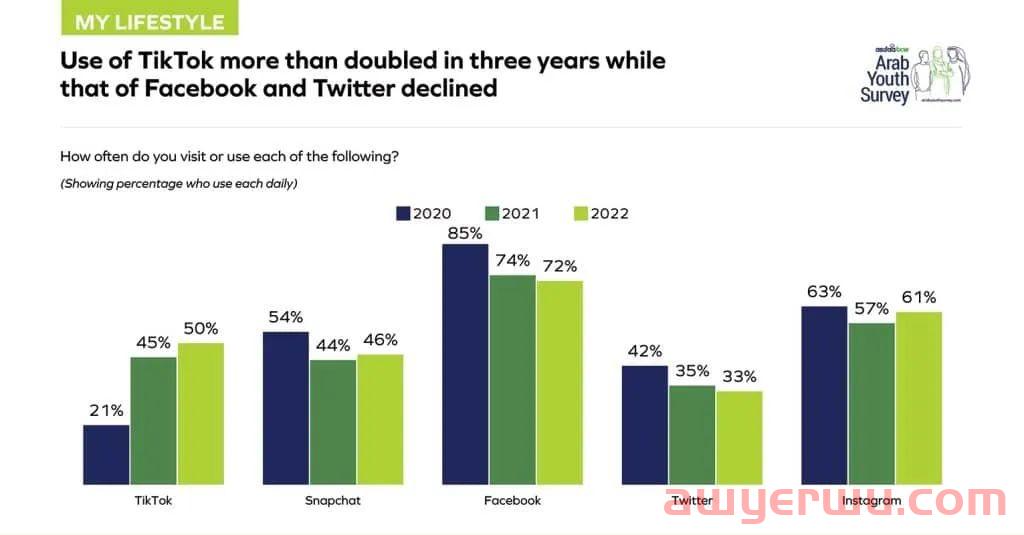 阿拉伯青年大调查：网购人数翻了五倍，TikTok跻身最受欢迎的社媒平台 第2张