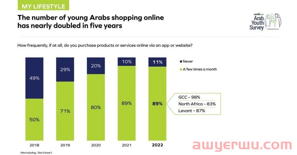 阿拉伯青年大调查：网购人数翻了五倍，TikTok跻身最受欢迎的社媒平台 第1张