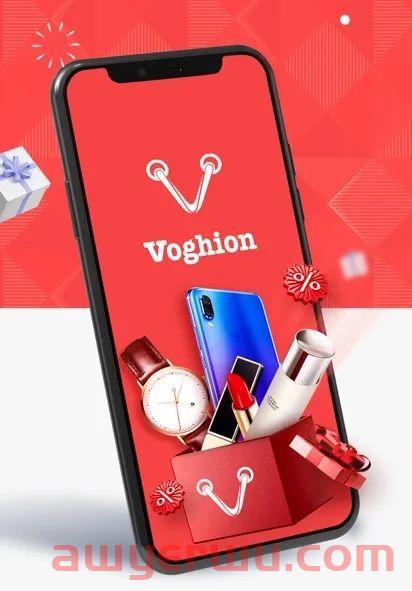 新平台抓住欧洲电子商务领域的机遇：关于Voghion 第1张