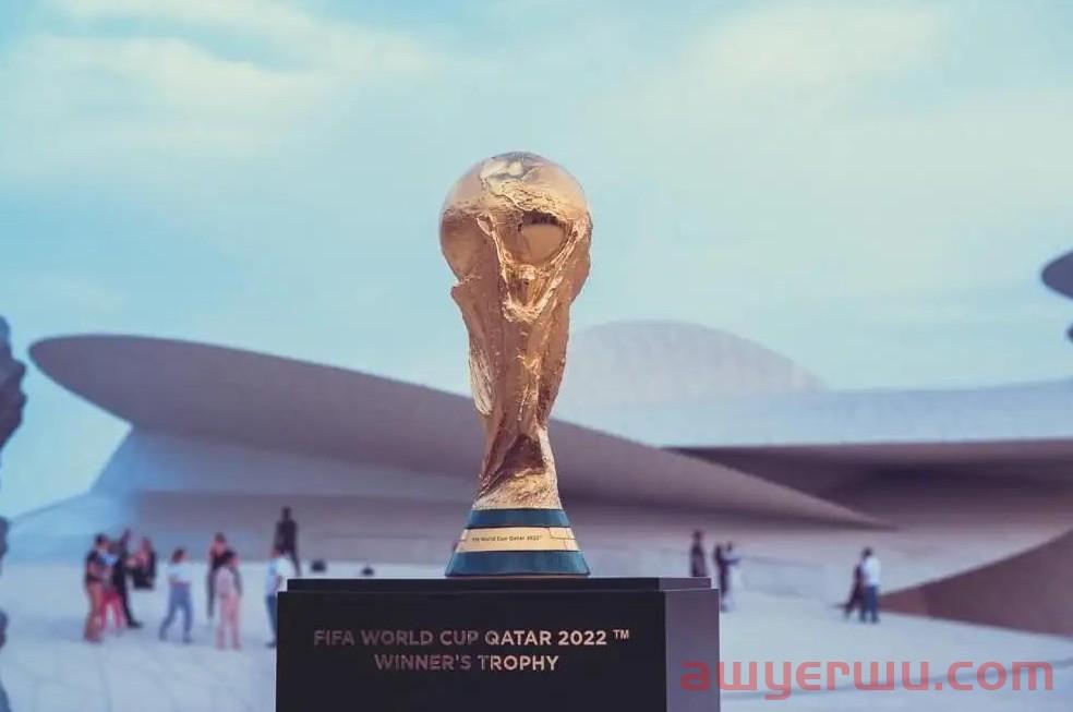 卡塔尔世界杯来袭！韩国挺进32强，中国卖家迎来爆单季... 第3张