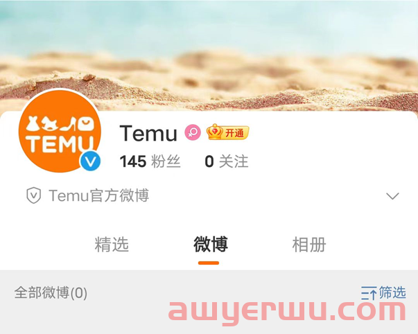 Temu新增卖家中心App下载，拼多多不断完善出海细节 第3张