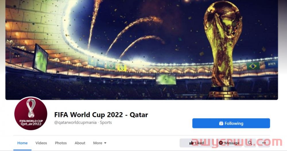一个月开幕的世界杯，举办地不止在卡塔尔，也在线上 第1张