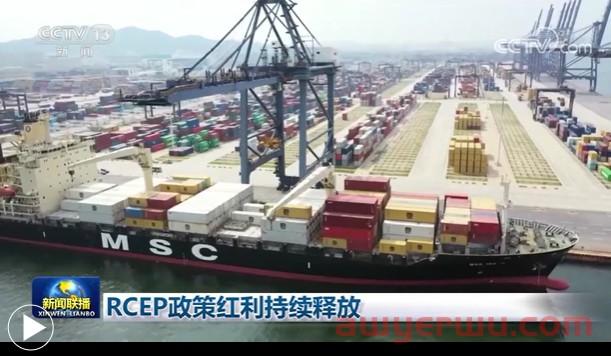 贸易额超8千亿，RCEP帮助中国品牌实现“出海梦”！ 第1张