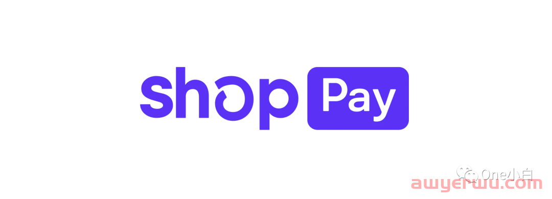 什么是 Shopify 快捷结账方式 Shop Pay？ 第2张