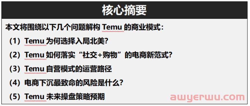 独家揭秘 | 解构Temu 的商业新范式!Temu能否逃出“下沉市场的死亡三角”？ 第1张