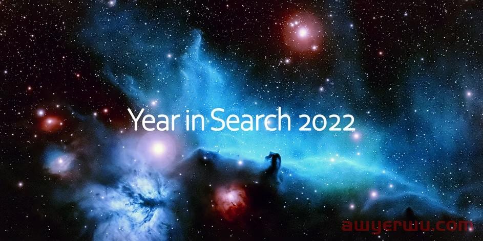 谷歌2022年度热搜榜出炉！全球网友最关心的竟然是这些事儿.... 第1张