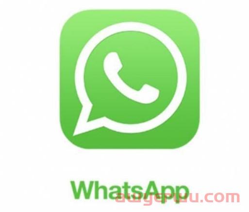 WhatsApp收不到短信验证码解决办法 第1张