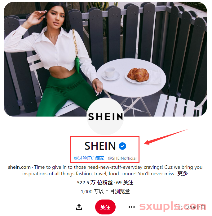Pinterest 账户如何声明 Shopify 网站所有权？ 第12张