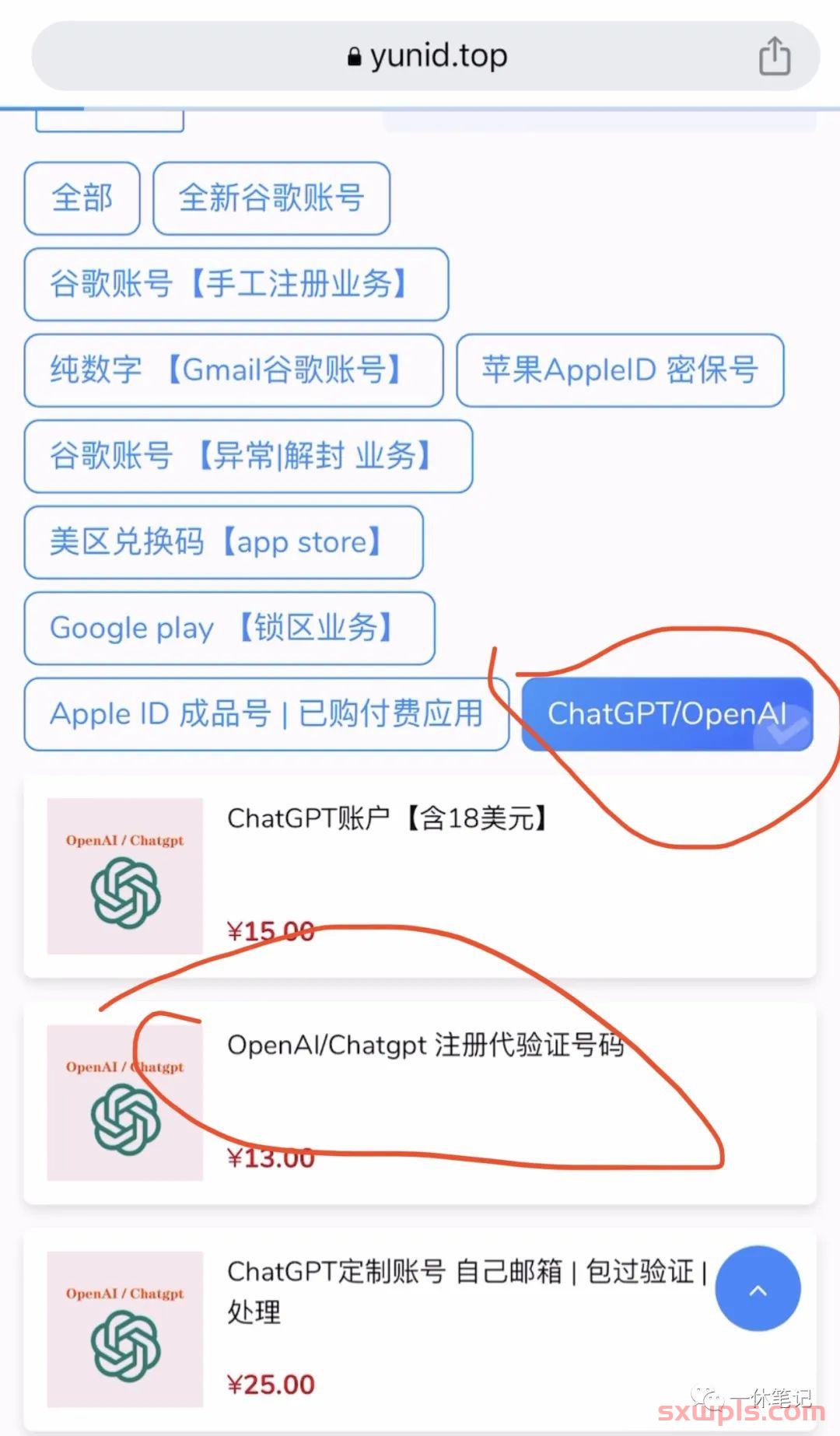 ChatGPT最新详细注册教程+86手机号无法验证的解决方法分享 第11张