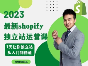 跨境B哥：2023年Shopify运营课，7天让你独立站从入门到精通(视频网盘)